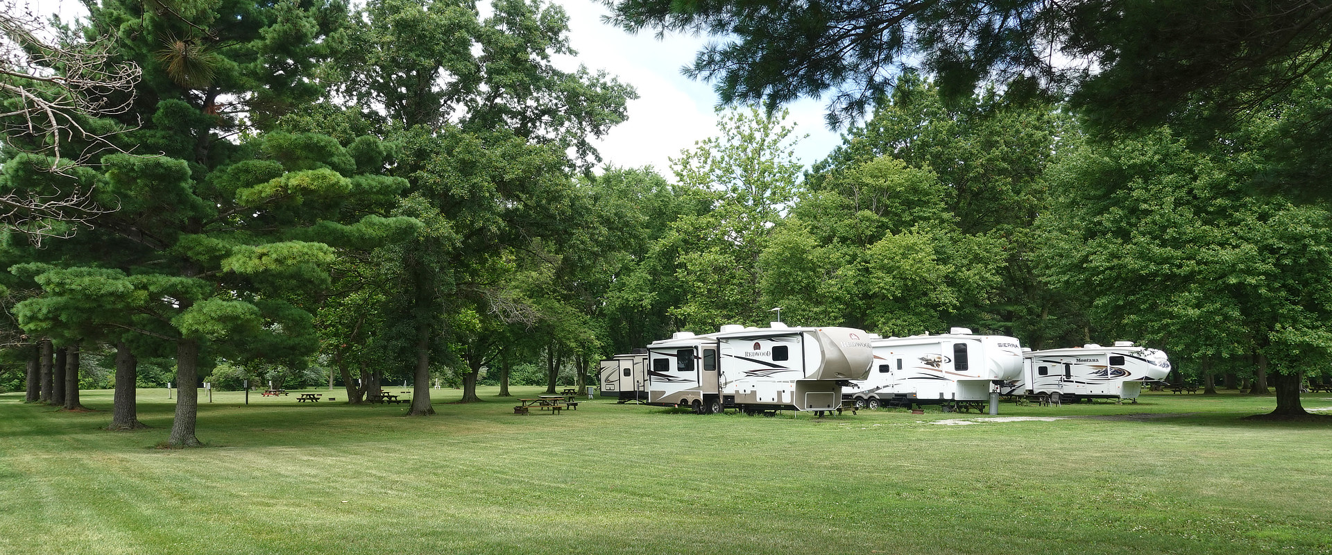 Big field, pine trees, and RV sites